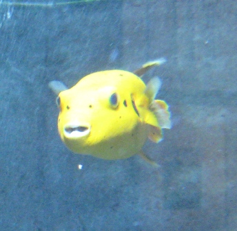 urlaub-2010-Berlin-128