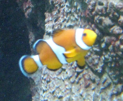 urlaub-2010-Berlin-130