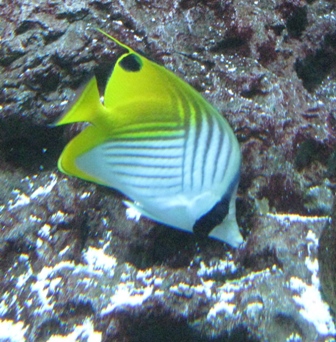 urlaub-2010-Berlin-131