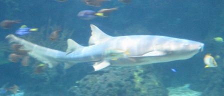 urlaub-2010-Berlin-146