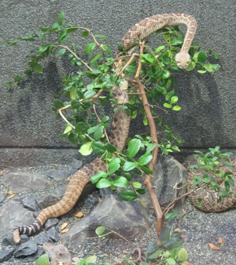 urlaub-2010-Berlin-162