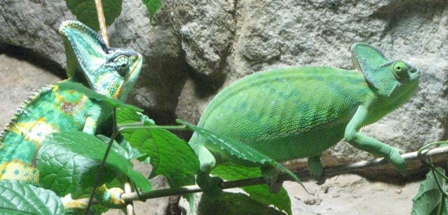 urlaub-2010-Berlin-165