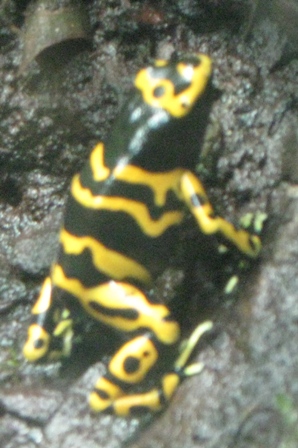 urlaub-2010-Berlin-167