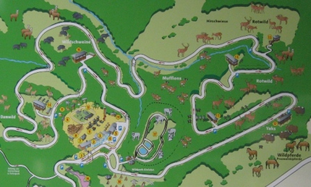 Urlaub-2010-Wildpark_Daun-07