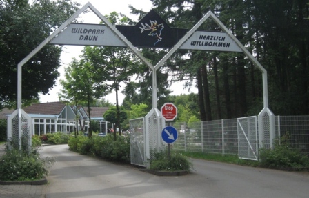 Urlaub-2010-Wildpark_Daun-08