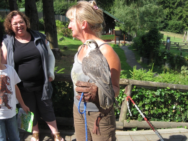 Urlaub-2010-Wildpark_Daun-33