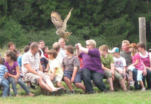 Urlaub-2010-Wildpark_Daun-35