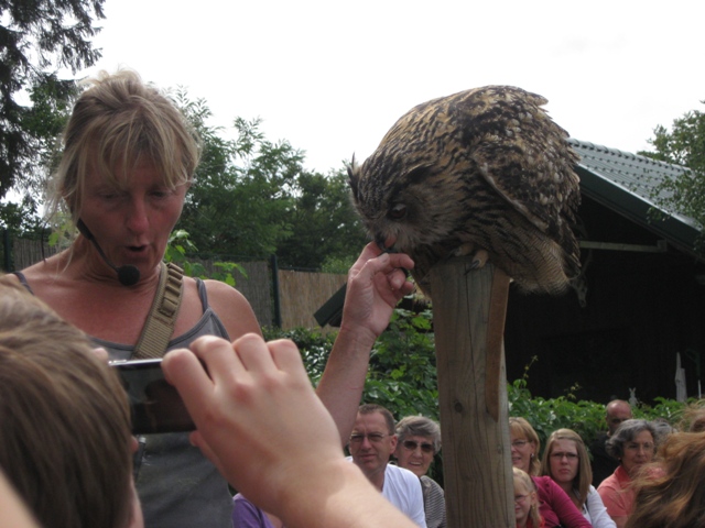 Urlaub-2010-Wildpark_Daun-36