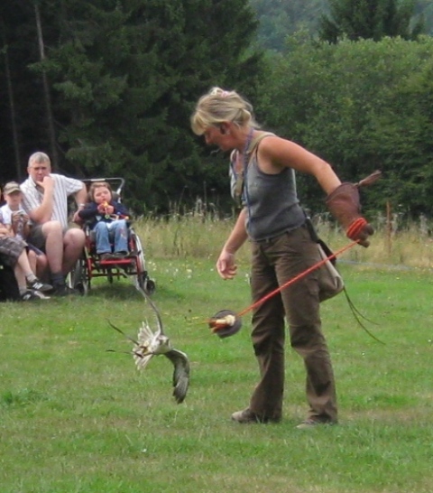 Urlaub-2010-Wildpark_Daun-45
