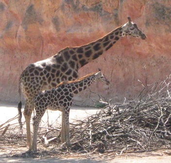 urlaub-2009-hameln-hannover-001