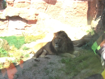 urlaub-2009-hameln-hannover-002