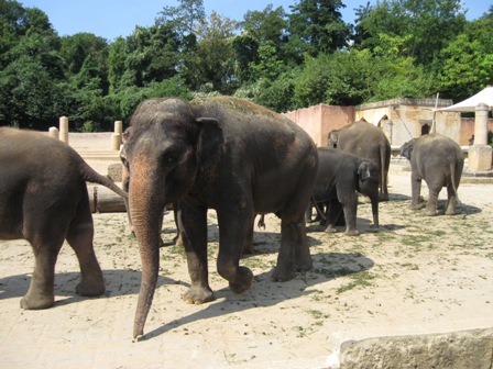 urlaub-2009-hameln-hannover-003