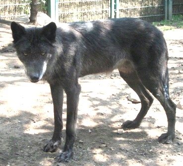 urlaub-2009-hameln-hannover-004