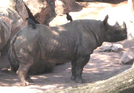 urlaub-2009-hameln-hannover-005