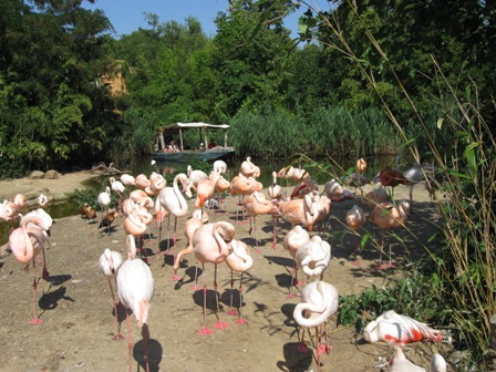 urlaub-2009-hameln-hannover-006