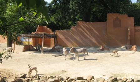 urlaub-2009-hameln-hannover-011