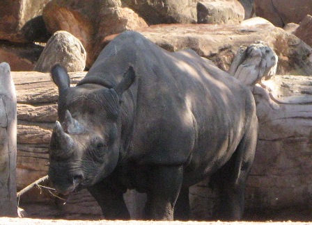 urlaub-2009-hameln-hannover-012