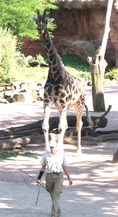 urlaub-2009-hameln-hannover-014