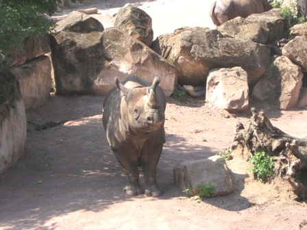 urlaub-2009-hameln-hannover-015