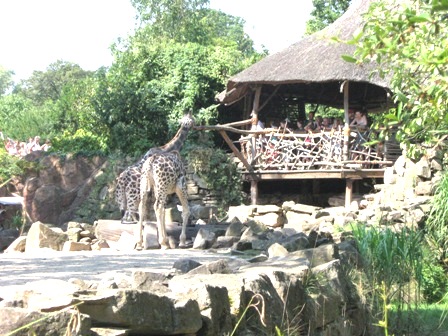 urlaub-2009-hameln-hannover-016