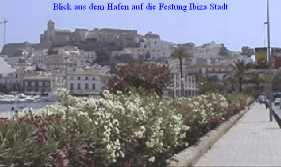 Blick aus dem Hafen auf die Festung Ibiza Stadt