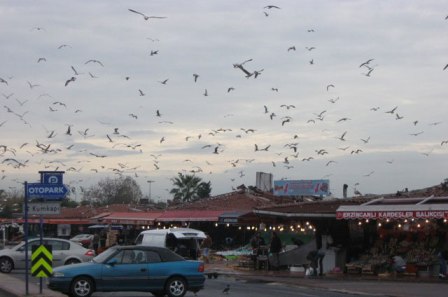 2009-Istanbul-009