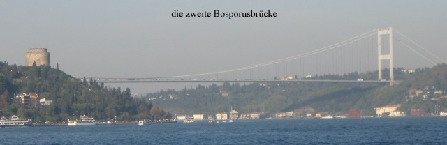 IMG_3784