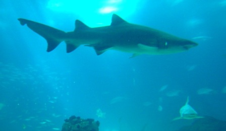 urlaub-2008-Lisboa-015