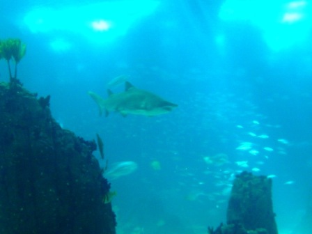 urlaub-2008-Lisboa-016