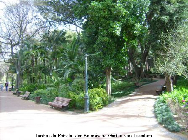 urlaub-2008-Lisboa-061