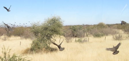 Urlaub-2012-Namibia-028