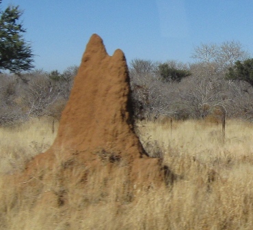 Urlaub-2012-Namibia-029