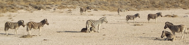 Urlaub-2012-Namibia-058