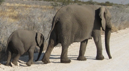 Urlaub-2012-Namibia-088