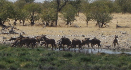 Urlaub-2012-Namibia-095