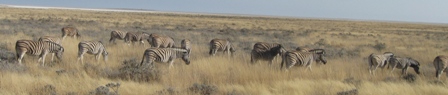 Urlaub-2012-Namibia-098