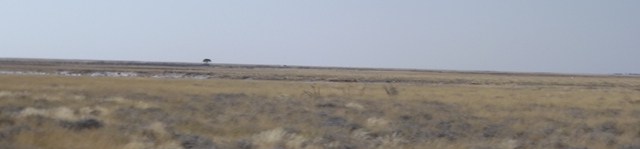Urlaub-2012-Namibia-112