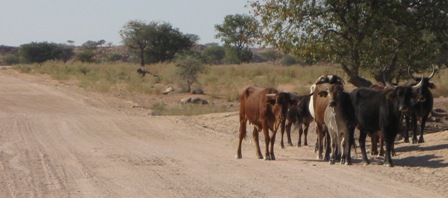 Urlaub-2012-Namibia-171