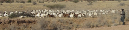 Urlaub-2012-Namibia-173