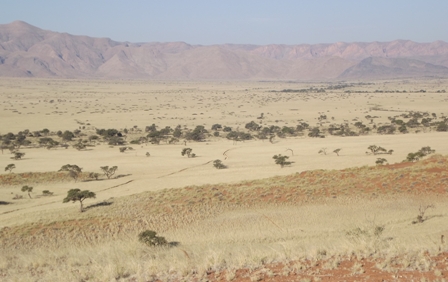 Urlaub-2012-Namibia-312