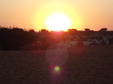 Urlaub-2012-Namibia-510