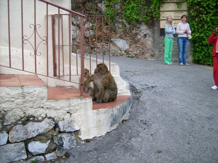 urlaub-2006-Spanien-Gibraltar-042