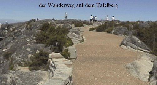 urlaub-2006-suedafrika-014