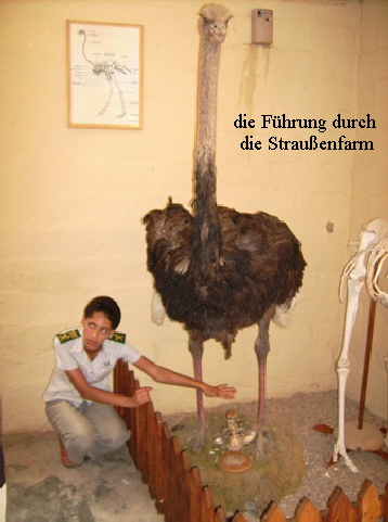 urlaub-2006-suedafrika-036