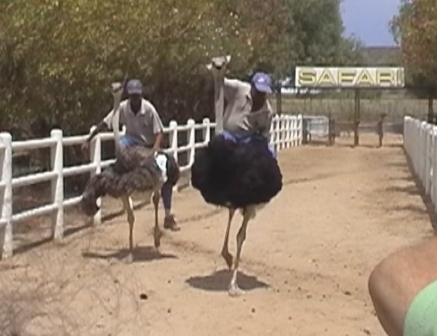 urlaub-2006-suedafrika-041