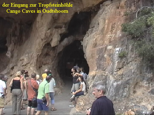 urlaub-2006-suedafrika-042