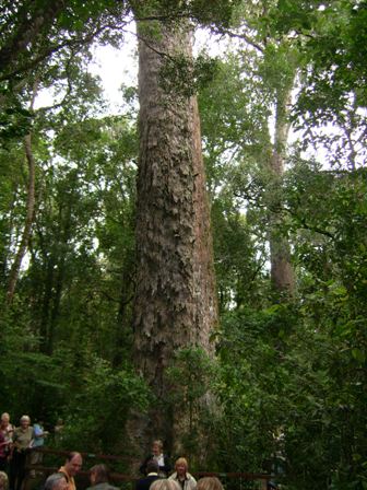 urlaub-2006-suedafrika-057