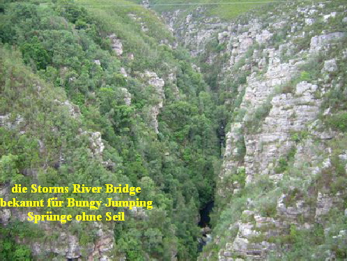 urlaub-2006-suedafrika-060