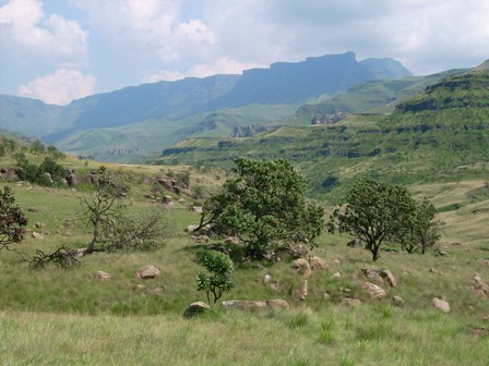 urlaub-2006-suedafrika-072