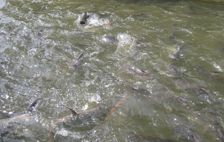 Urlaub-2011-Thailand-073